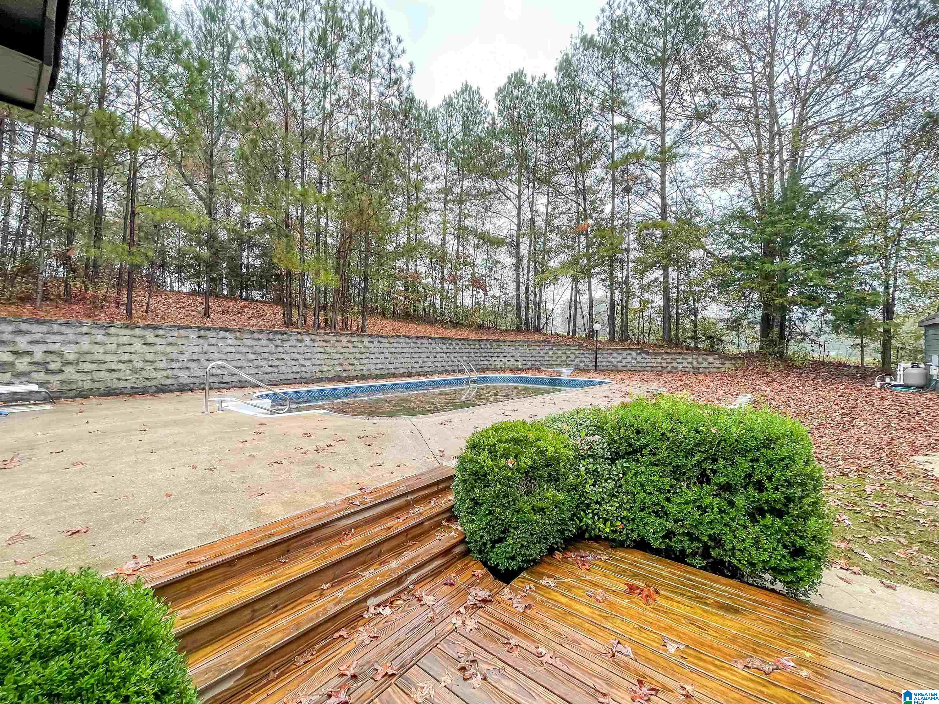 41 Ricky Lane Pell City, AL 35128 - Photo 31 of 33