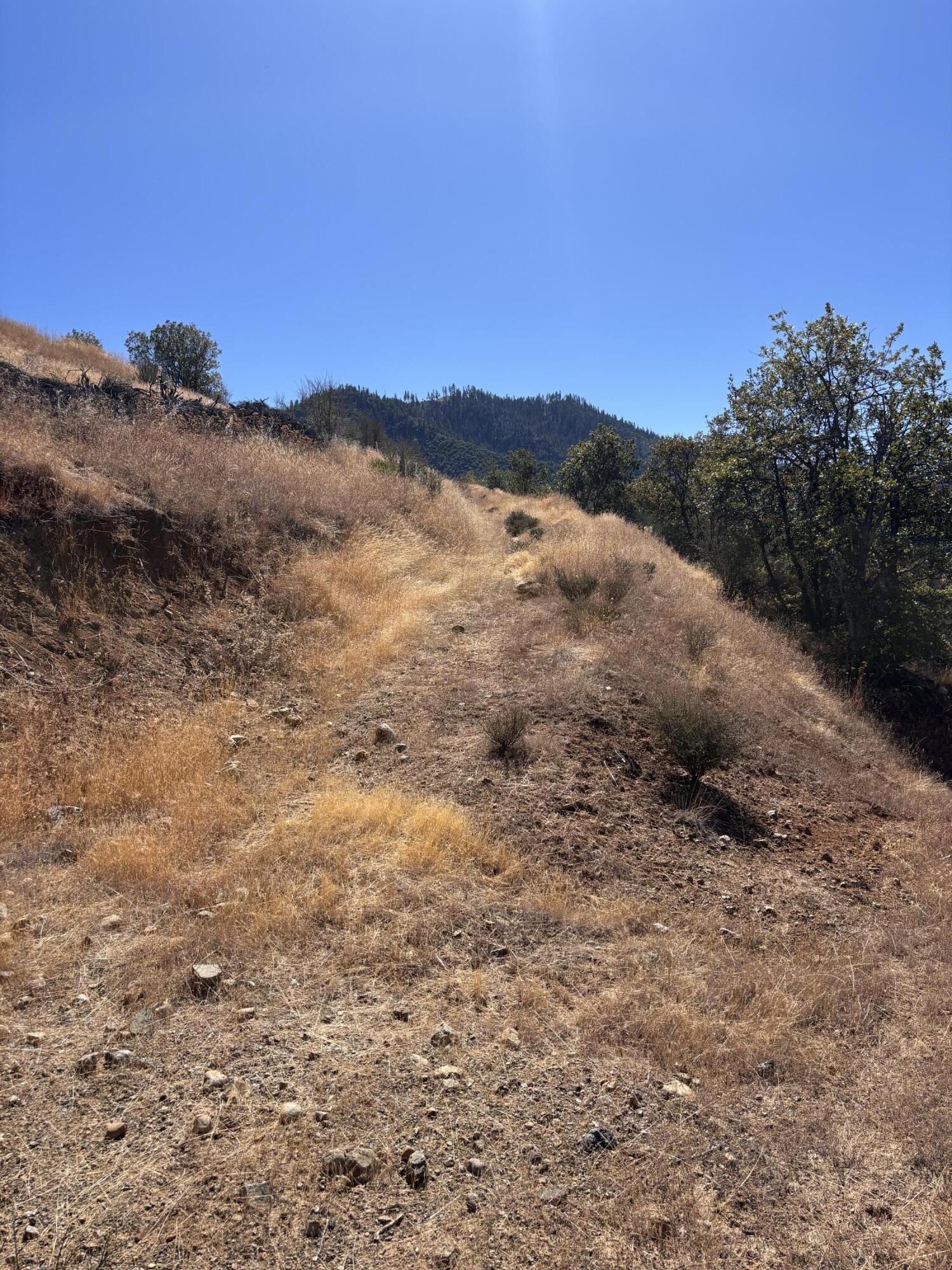 775 Barker Valley Road Hayfork, CA 96041 - Photo 34 of 41 Tier