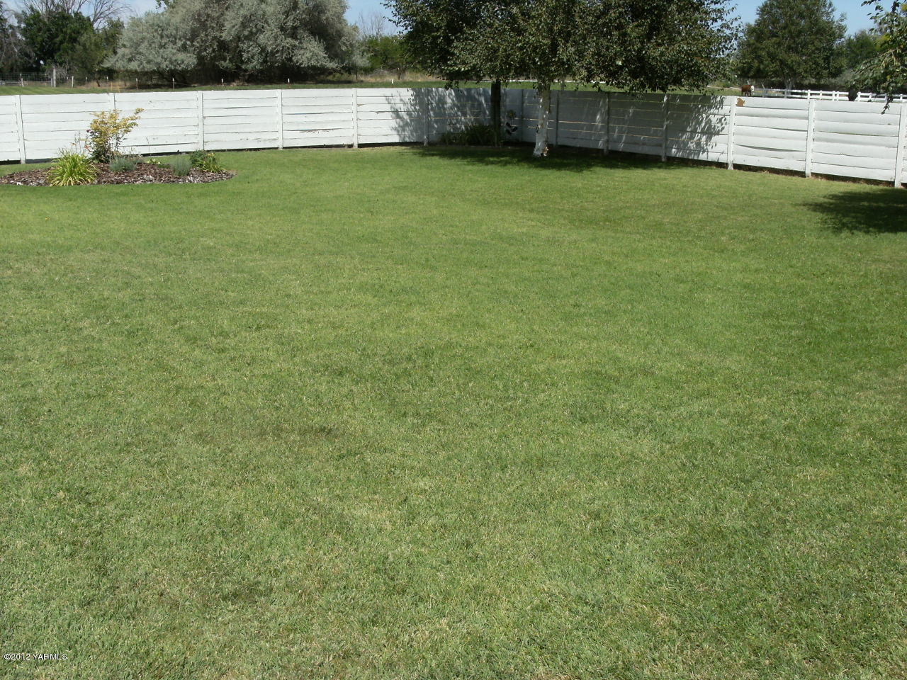 1628 Saul Road Sunnyside, WA 98944 - Photo 9 of 10 a view of a back yard