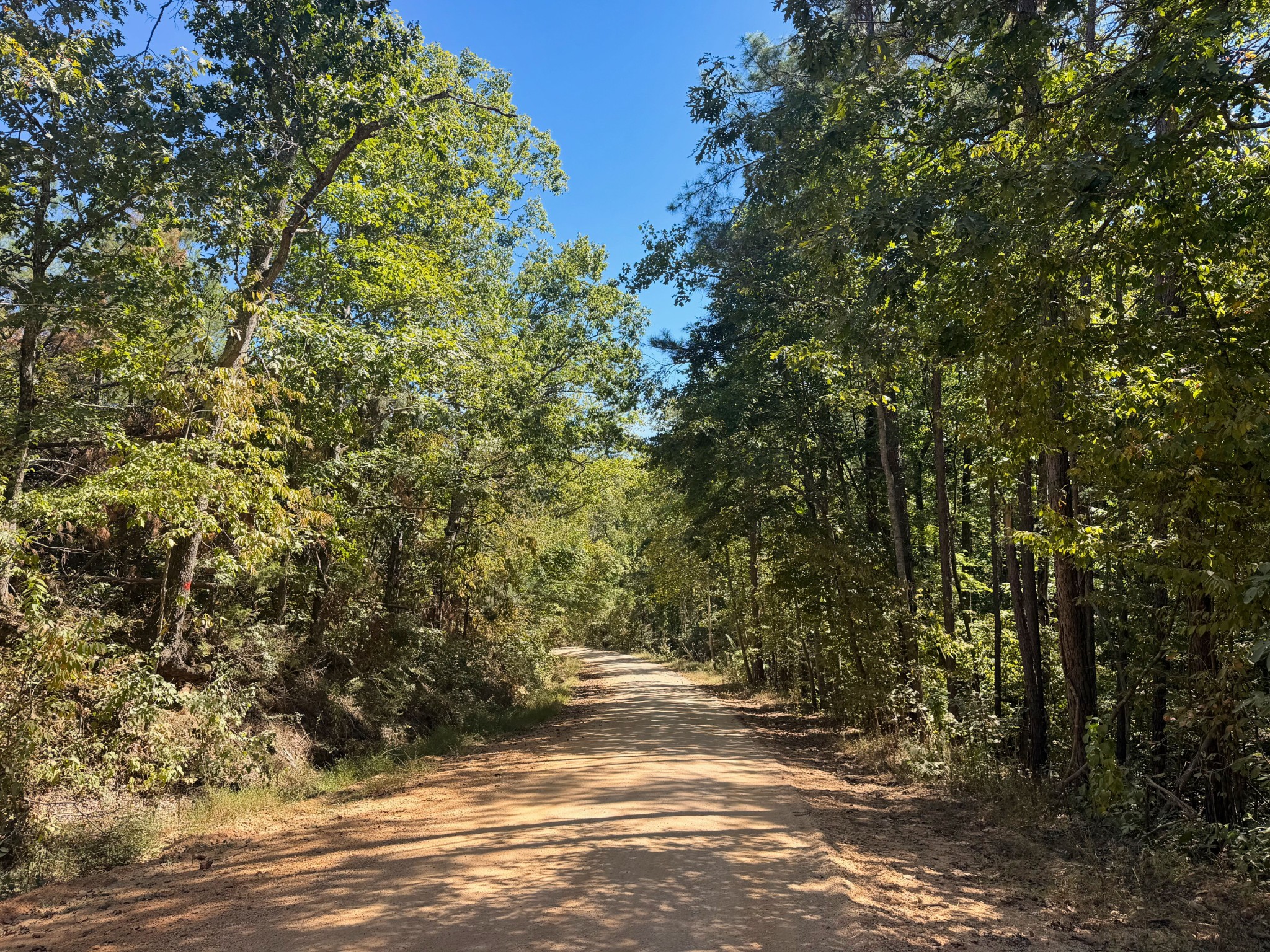 0 Coy Hill Road Savannah, TN 38372 - Photo 19 of 31 Gallery Image 19