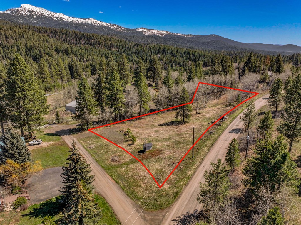 Tbd Morell Road McCall, ID 83638 - Photo 22 of 22