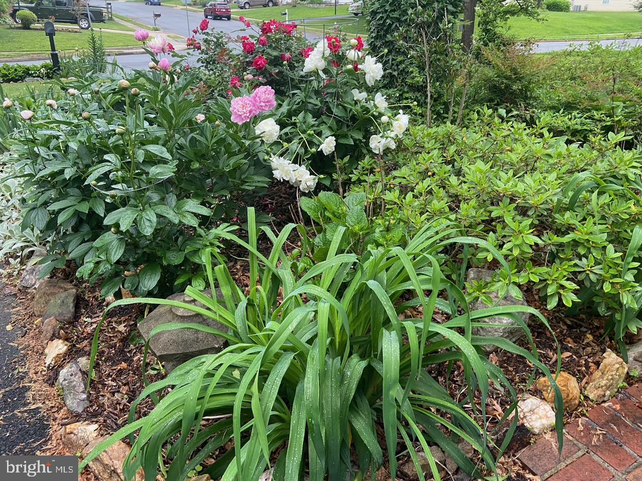 9101 Blue Jug Landing Burke, VA 22015 - Photo 49 of 63 a view of a flower