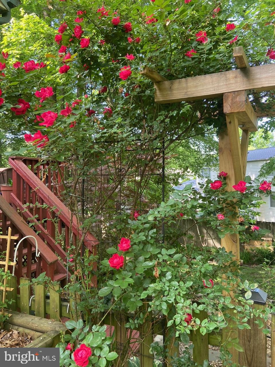 9101 Blue Jug Landing Burke, VA 22015 - Photo 53 of 63 a flower plants and a flower plants