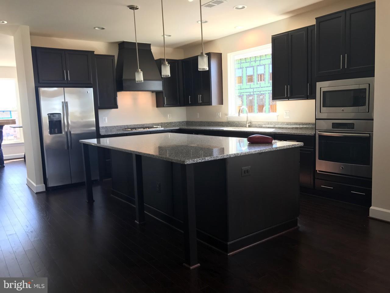 23701 Turtle Point Terrace Brambleton, VA 20148 - Photo 2 of 3 Gourmet Kitchen with huge Granite Counter