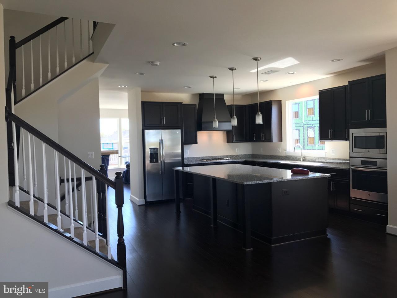 23701 Turtle Point Terrace Brambleton, VA 20148 - Photo 3 of 3 Main Level view with Kitchen