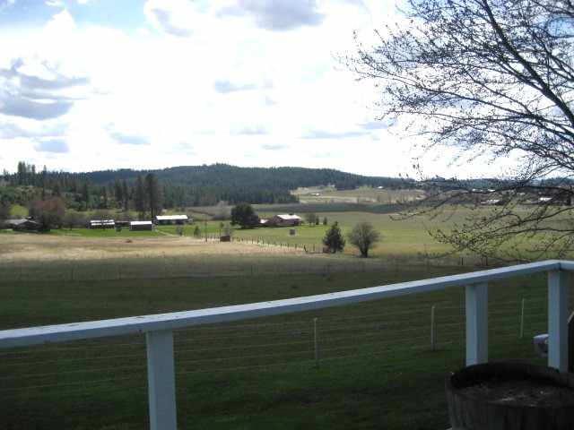 9225 East Big Meadows Road Chattaroy, WA 99003 - Photo 8 of 8 Gallery Image 8