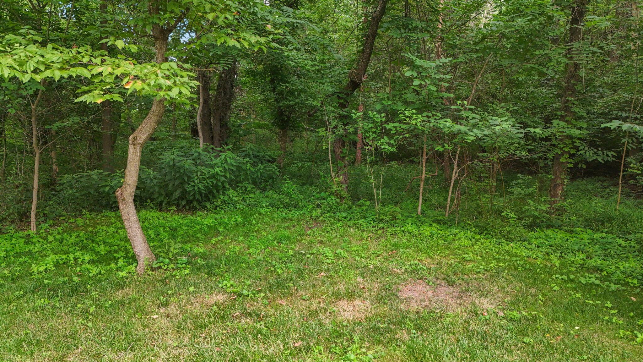 12907 Woodtown Road Galena, OH 43021 - Photo 113 of 117 12907 Woodtown Rd
