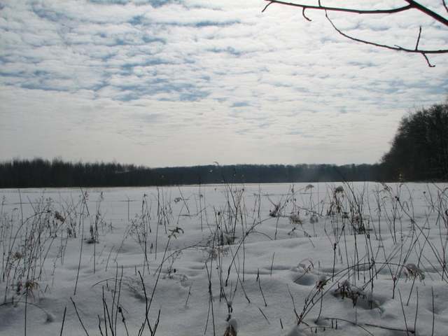 8270 Stockley Lane Rhinelander, WI 54501 - Photo 1 of 1 Gallery Image 1