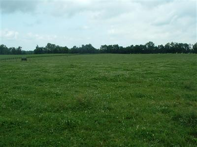 2325 Logana Road Nicholasville, KY 40356 - Photo 12 of 32 Another one of the pastures.