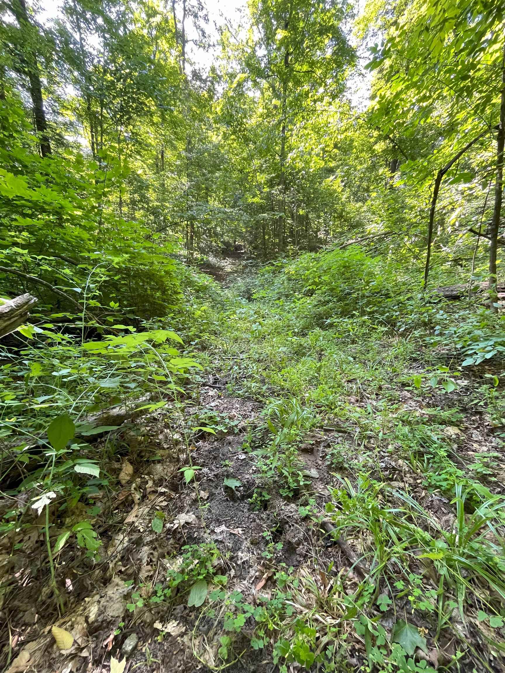 Tbd Tbd M-115 Tustin, MI 49688 - Photo 9 of 11