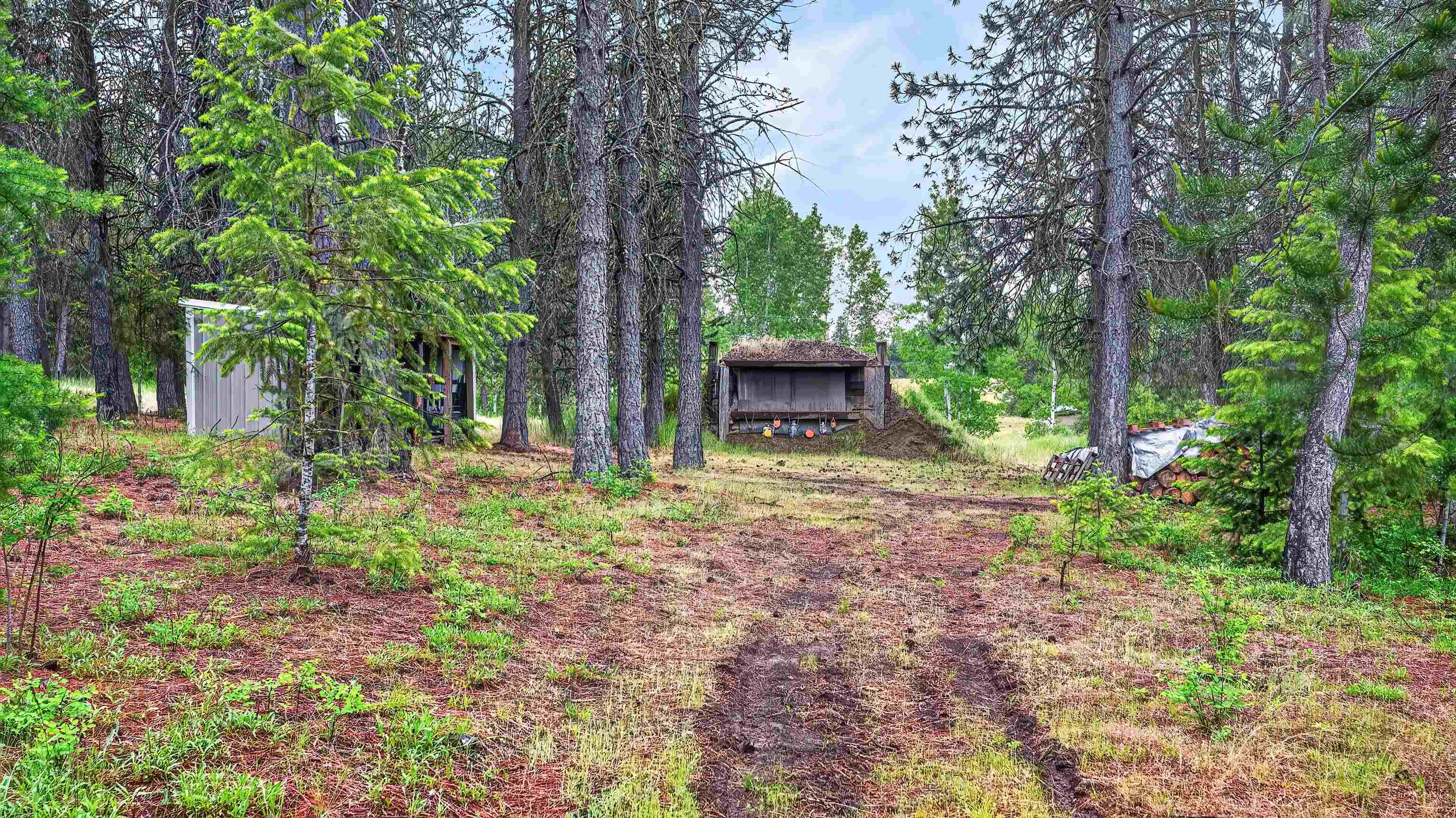 515 West Chattaroy Road Colbert, WA 99005 - Photo 41 of 50