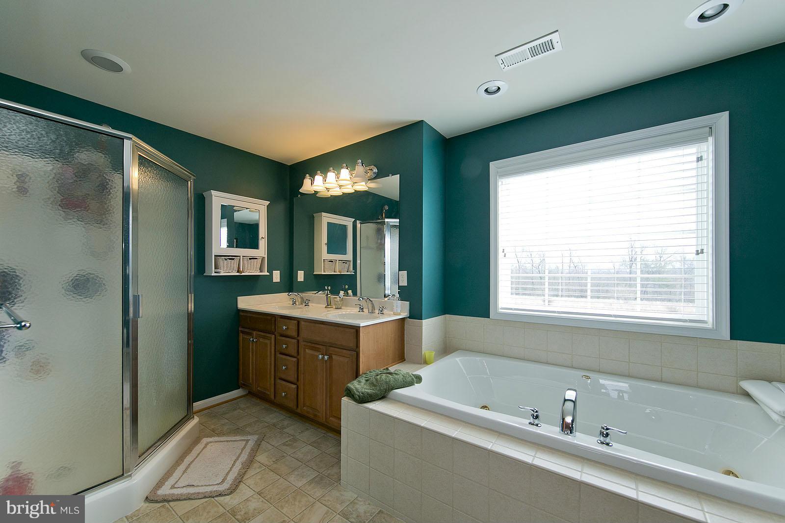 1630 Whitacre Road Gore, VA 22637 - Photo 22 of 28 Bath (Master)