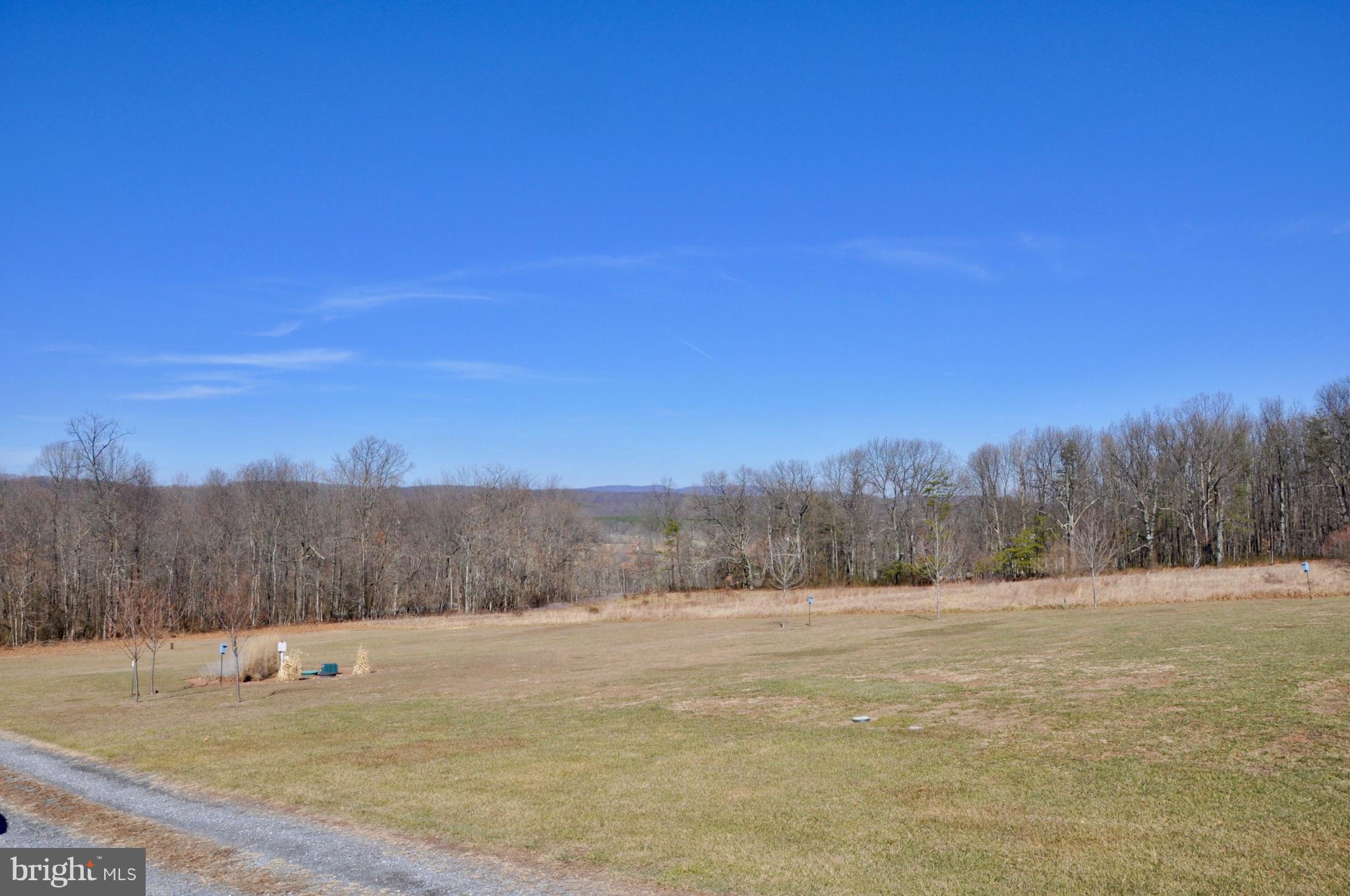 1630 Whitacre Road Gore, VA 22637 - Photo 27 of 28 Exterior (Rear)