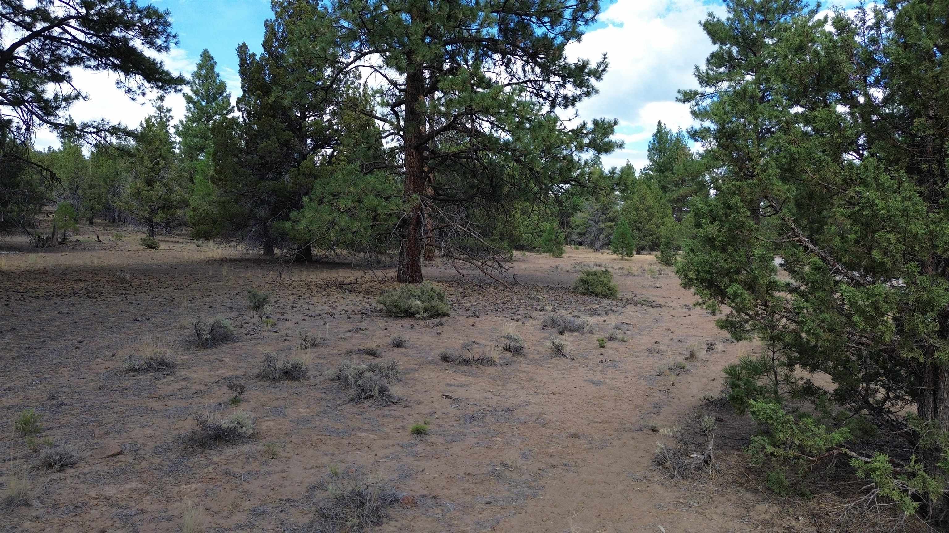 Robison Road Macdoel, CA 96058 - Photo 14 of 30 Gallery Image 14