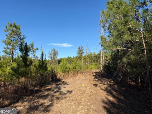 $165,725 | 45 Cleghorn Drive, Tallasee, AL 36078