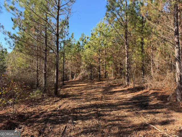 $165,725 | 45 Cleghorn Drive, Tallasee, AL 36078