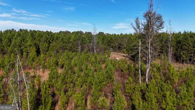 $165,725 | 45 Cleghorn Drive, Tallasee, AL 36078