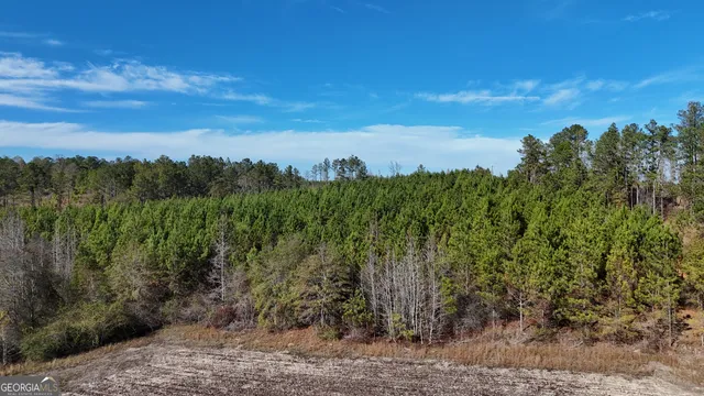 $165,725 | 45 Cleghorn Drive, Tallasee, AL 36078