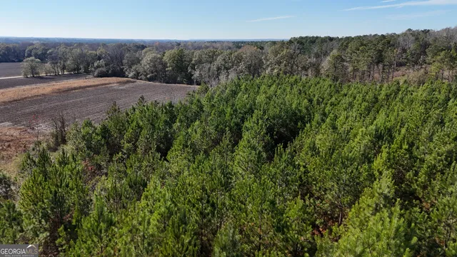 $165,725 | 45 Cleghorn Drive, Tallasee, AL 36078