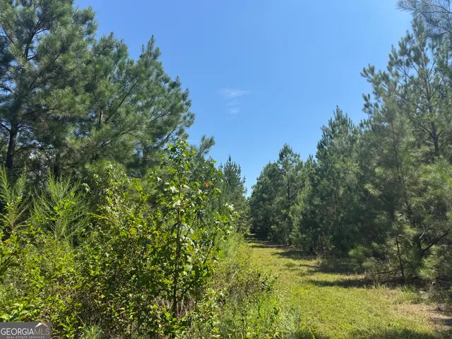 $165,725 | 45 Cleghorn Drive, Tallasee, AL 36078