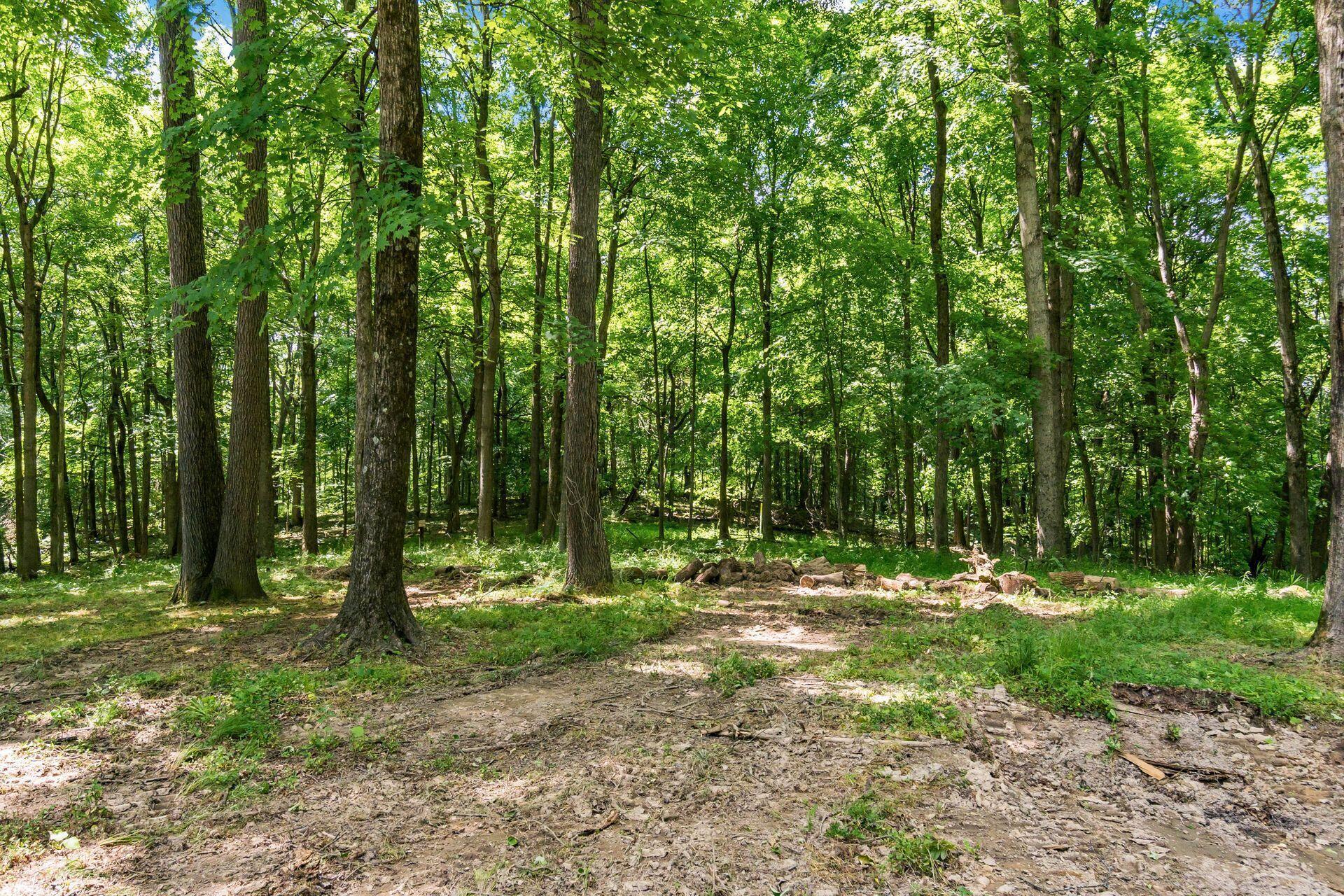 13807 Marshall Road Rockbridge, OH 43149 - Photo 7 of 33