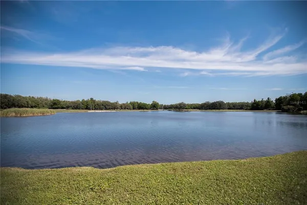 $219,000 | 36750 Highway 19, Unit 2052, Palm Harbor, FL 34684