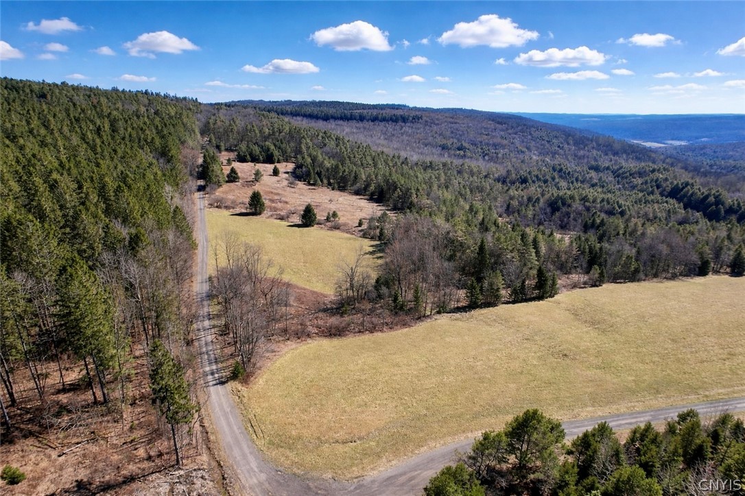 166 Springer Road Lincklaen, NY 13052 - Photo 2 of 7