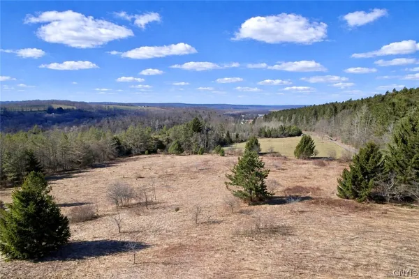 $70,000 | 166 Springer Road, Lincklaen, NY 13052