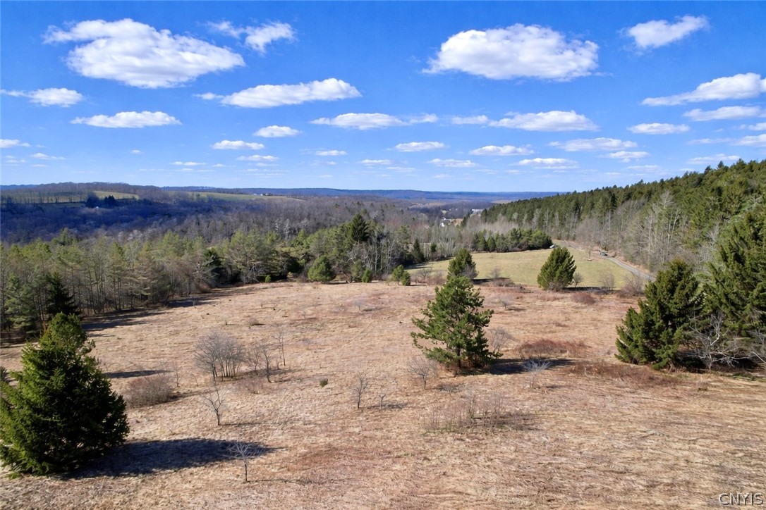 166 Springer Road Lincklaen, NY 13052 - Photo 3 of 7