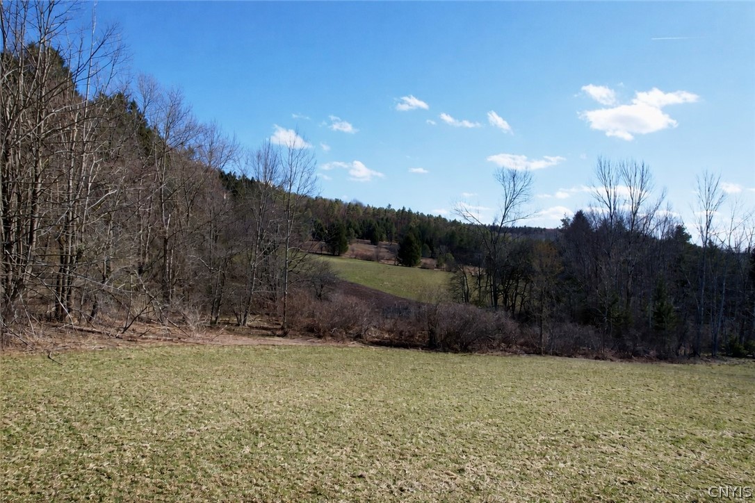 166 Springer Road Lincklaen, NY 13052 - Photo 4 of 7