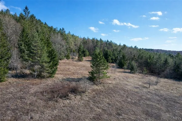 $70,000 | 166 Springer Road, Lincklaen, NY 13052