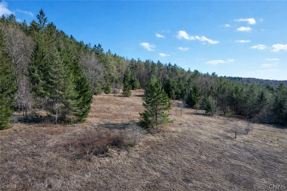 166 Springer Road Lincklaen, NY 13052 - Photo 5 of 7