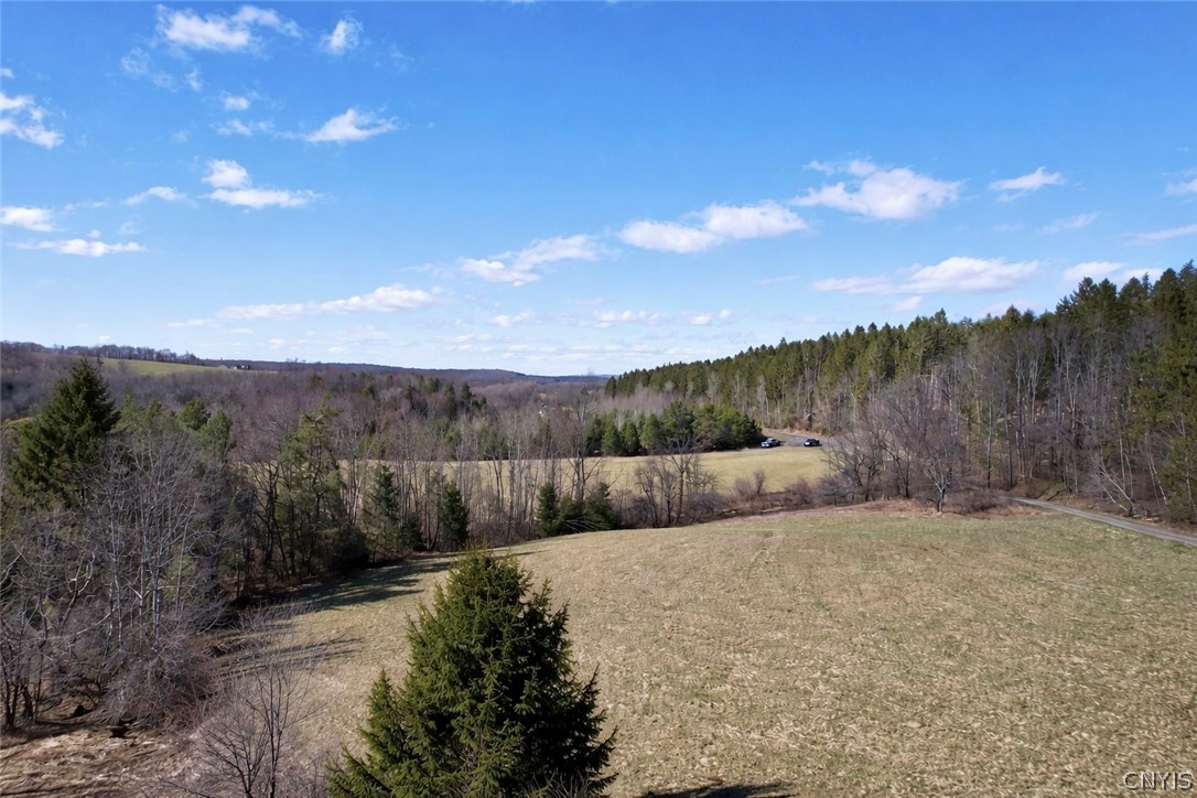 166 Springer Road Lincklaen, NY 13052 - Photo 6 of 7