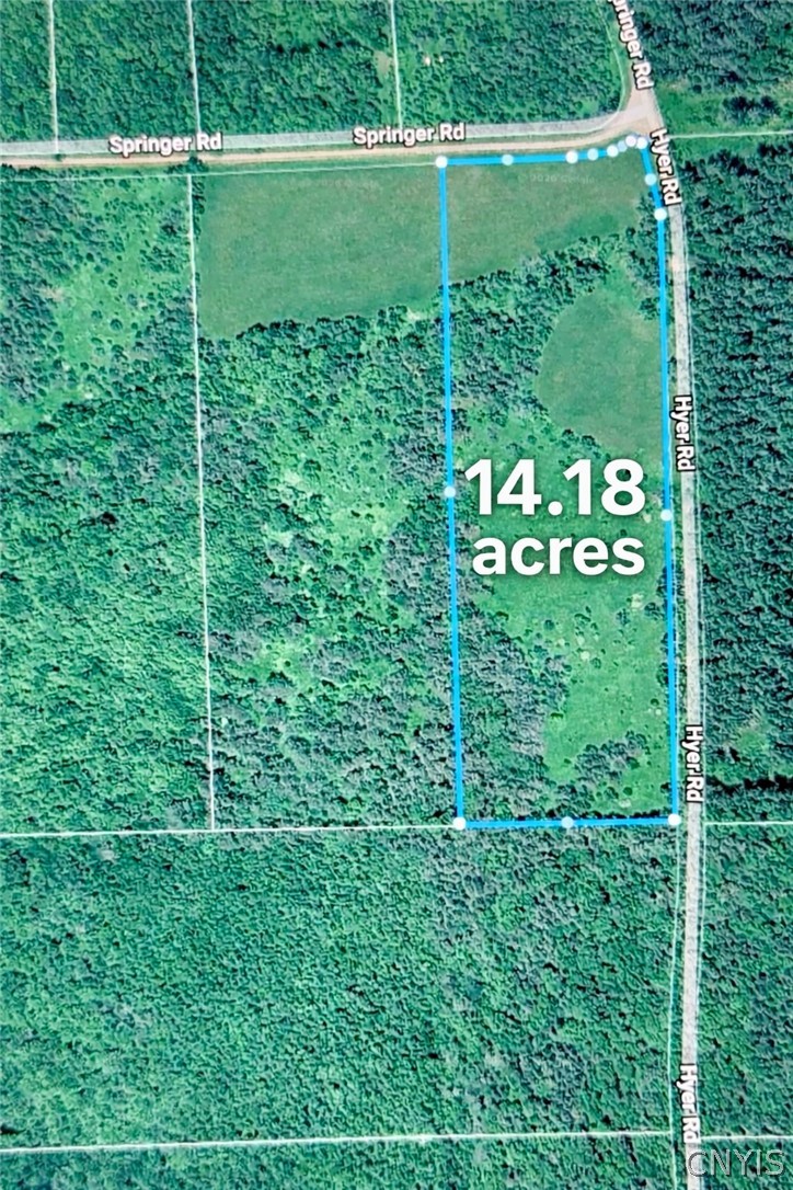166 Springer Road Lincklaen, NY 13052 - Photo 7 of 7