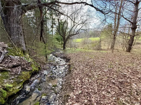 $70,000 | 166 Springer Road, Lincklaen, NY 13052