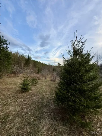 $70,000 | 166 Springer Road, Lincklaen, NY 13052