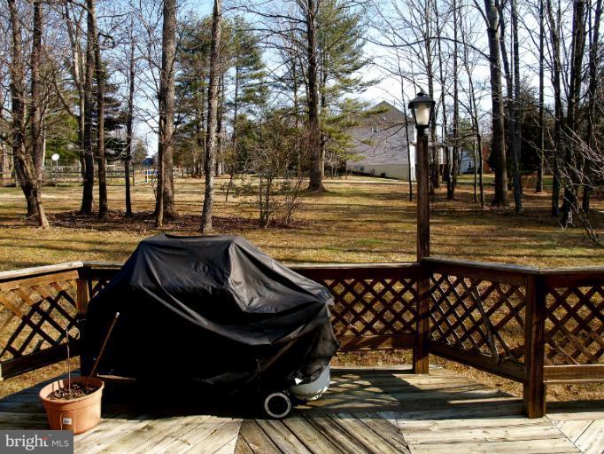 14907 Peach Orchard Road Silver Spring, MD 20905 - Photo 12 of 27 Deck