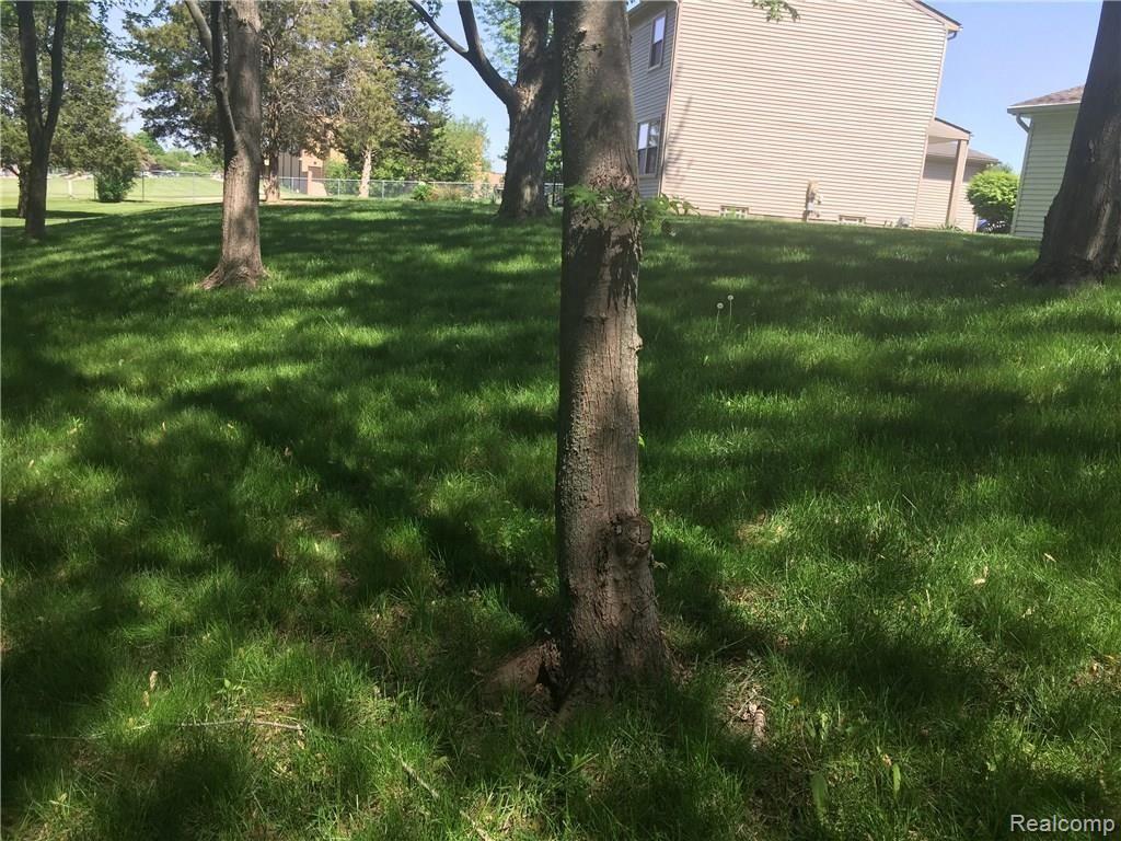 40756 Village Wood Road Novi, MI 48375 - Photo 17 of 46 IMG_1025.JPG