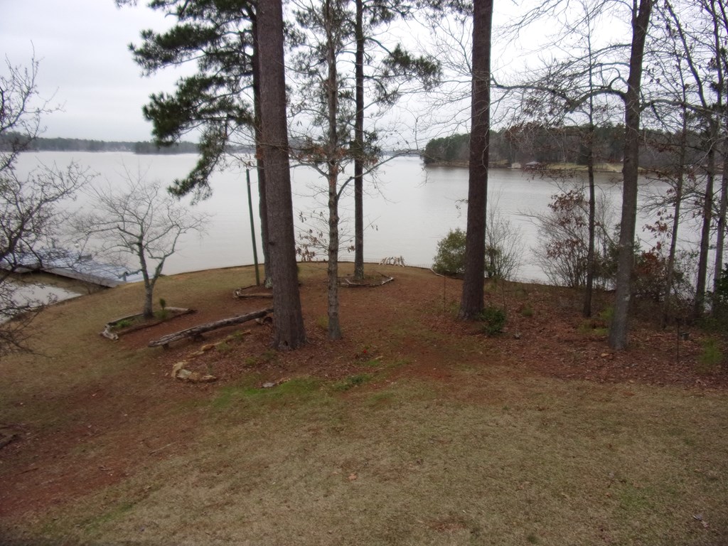 1688 Bartletts Ferry Road Fortson, GA 31808 - Photo 7 of 27 Lake Views
