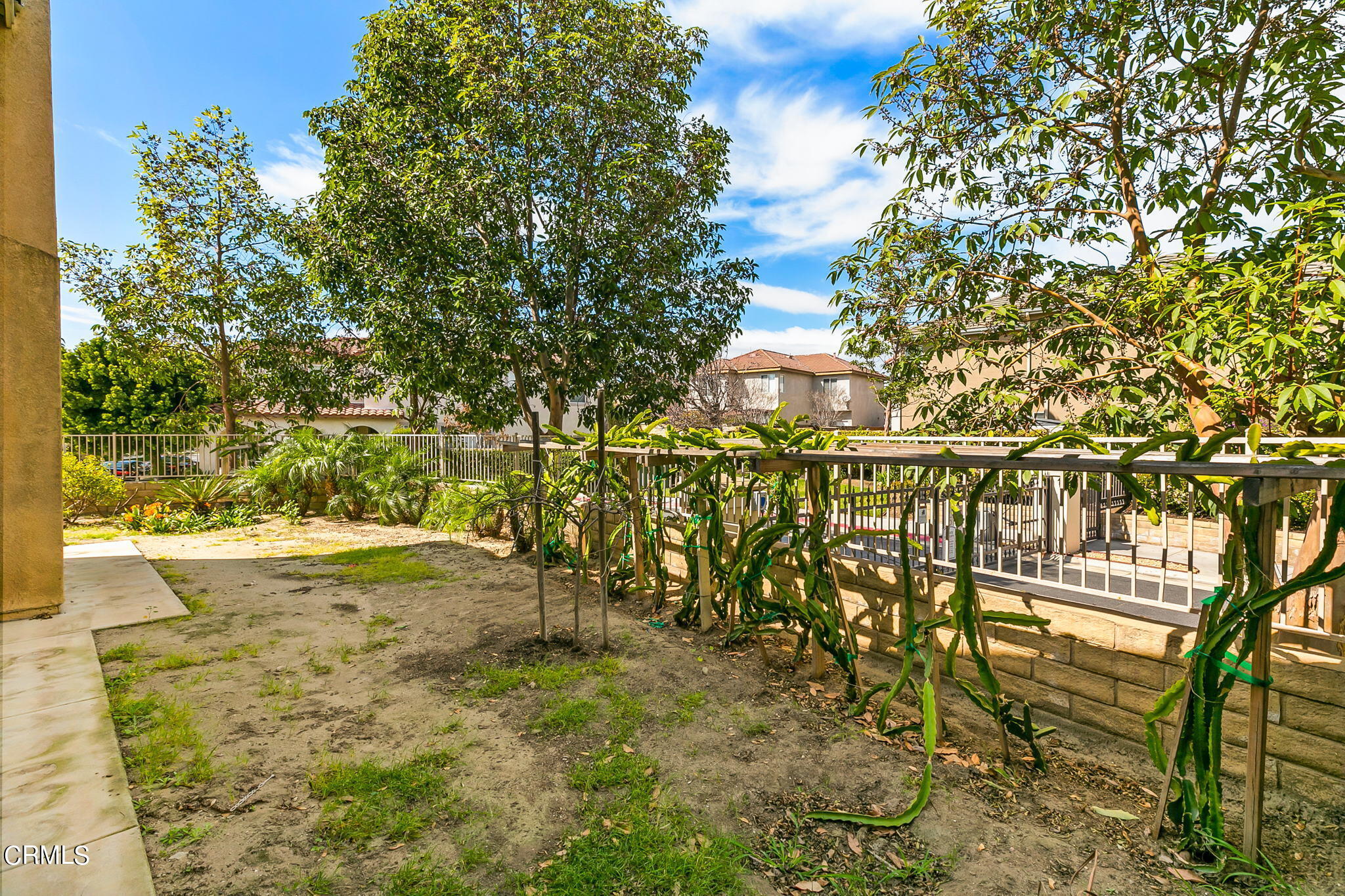 957 Entrada Drive Oxnard, CA 93030 - Photo 36 of 36 957 Entrada side yard