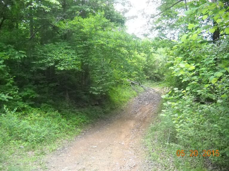1111 Steele Hollow Road Corbin, KY 40701 - Photo 6 of 9 Photo 6