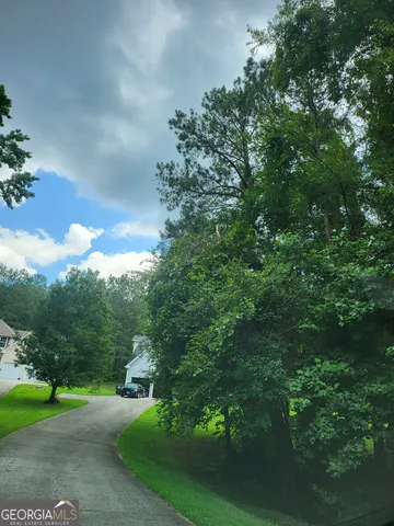 a view of a yard with a tree