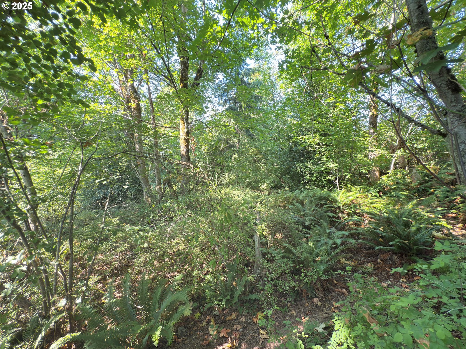 0 Northwest Maryland Street Camas, WA 98607 - Photo 11 of 18