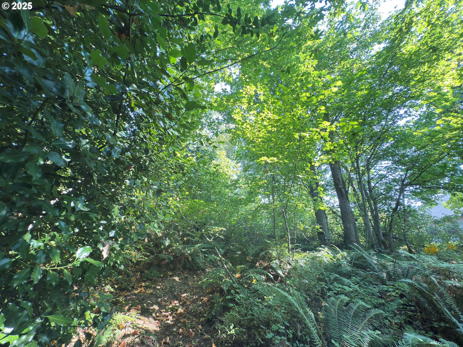 0 Northwest Maryland Street Camas, WA 98607 - Photo 12 of 18