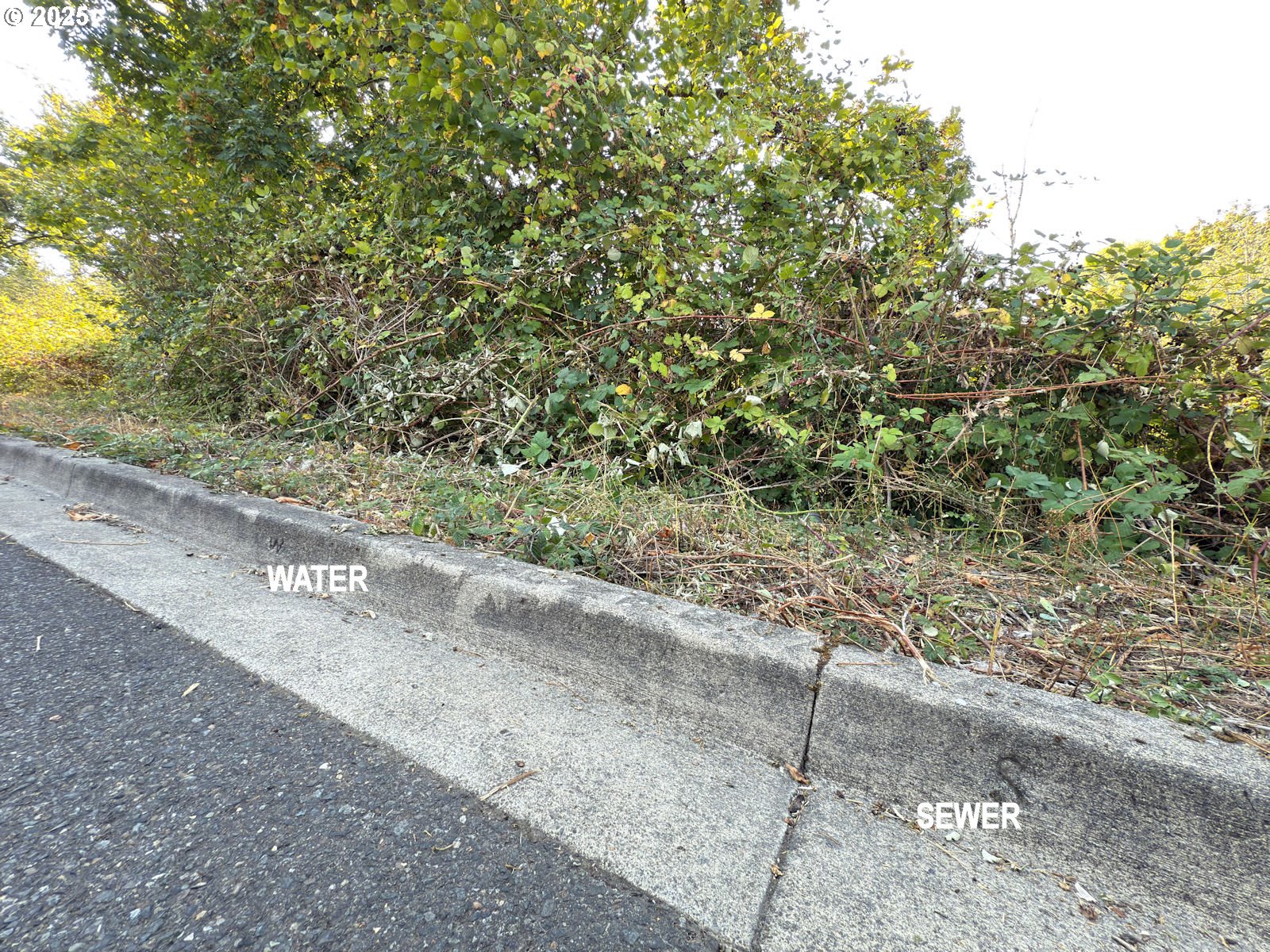 0 Northwest Maryland Street Camas, WA 98607 - Photo 4 of 18