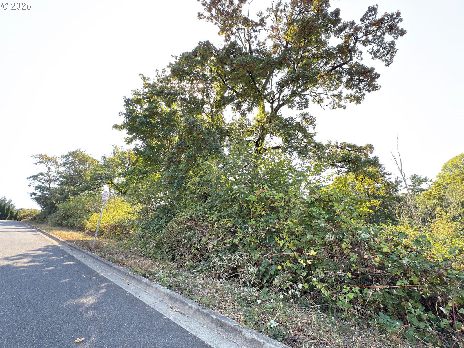 0 Northwest Maryland Street Camas, WA 98607 - Photo 5 of 18