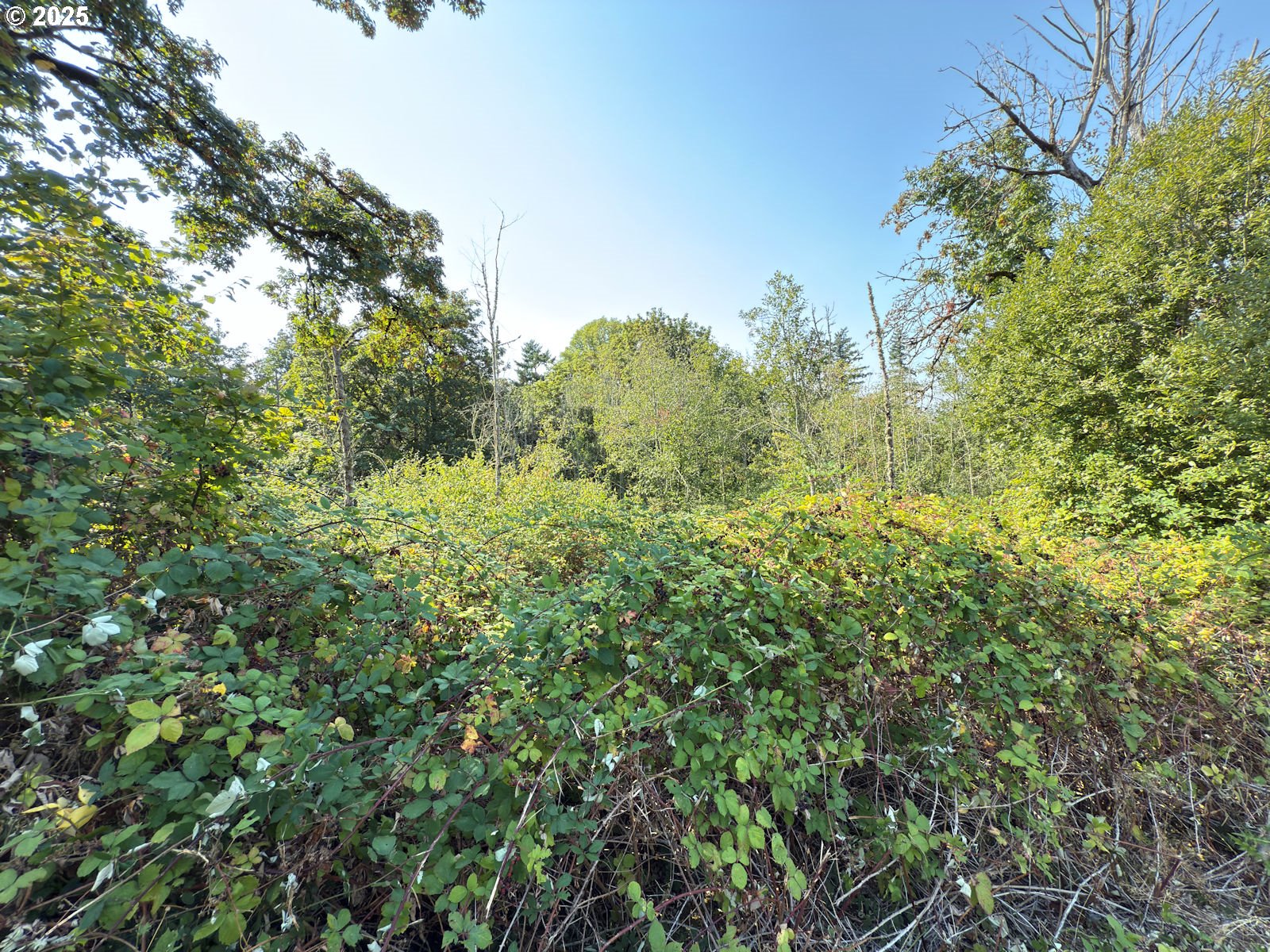 0 Northwest Maryland Street Camas, WA 98607 - Photo 7 of 18