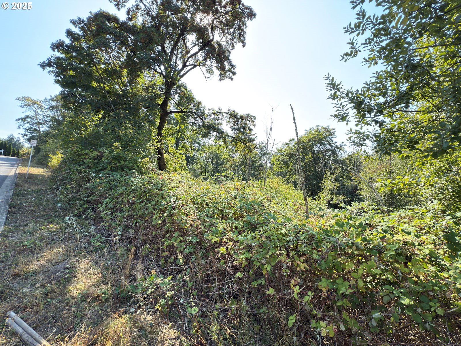 0 Northwest Maryland Street Camas, WA 98607 - Photo 9 of 18