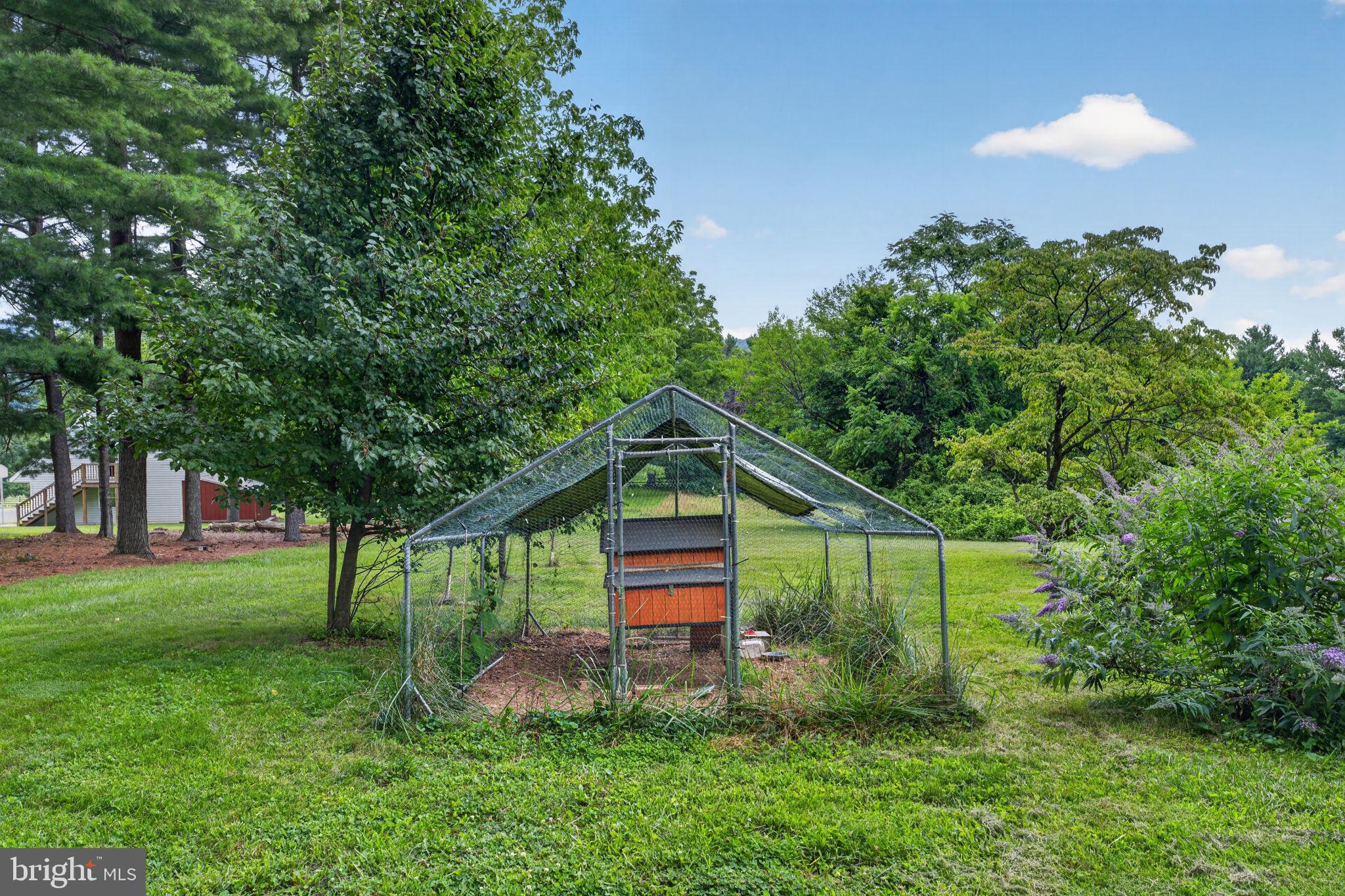20210 Bent Willow Road Rohrersville, MD 21779 - Photo 72 of 98 Charming greenhouse in lush greenery.