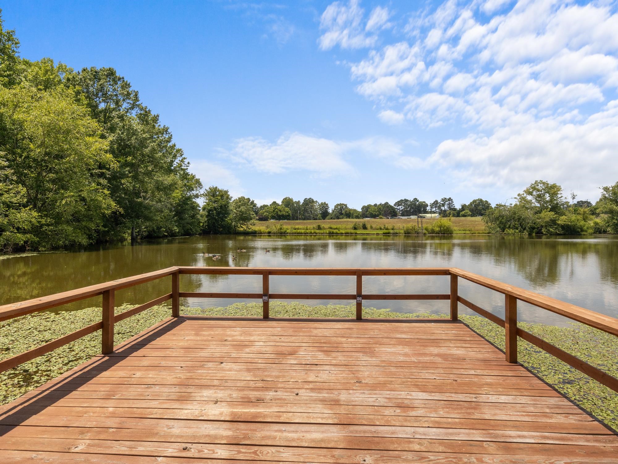 1080 Melvin Hill Road Campobello, SC 29322 - Photo 38 of 49